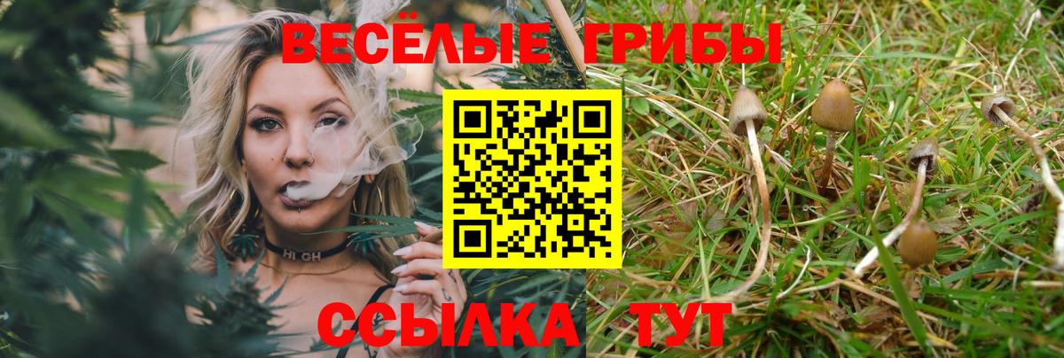 Шатура  купить закладку  Вход с VPN  Галлюциногенные грибы Psilocybe  Псилоцибиновые грибы Magic Shrooms 